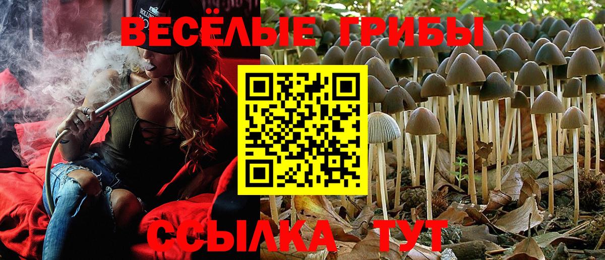 Псилоцибиновые грибы Magic Shrooms Кушва